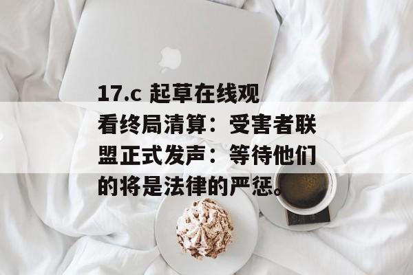 17.c 起草在线观看终局清算：受害者联盟正式发声：等待他们的将是法律的严惩。